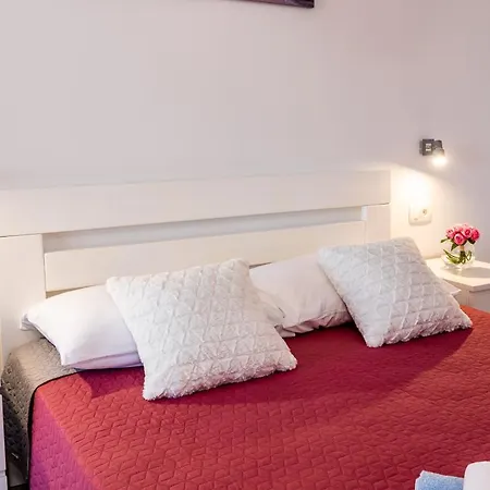 Apartment Deluxe Angelis Gradac (Split-Dalmatia)